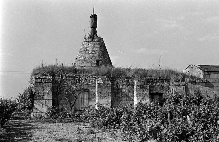 Moulin à vent de la Perruche, actuellement maison, Montsoreau