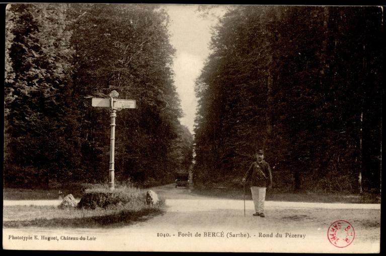 La Forêt de Bercé : présentation de l'aire d'étude