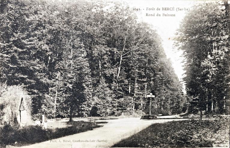 La Forêt de Bercé : présentation de l'aire d'étude