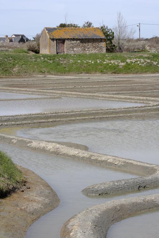 Marais salants de Guérande