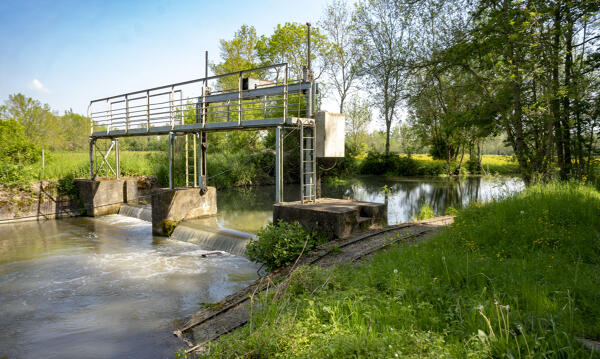 Barrage de la Vieille Sèvre ; Marais de Bougnoux