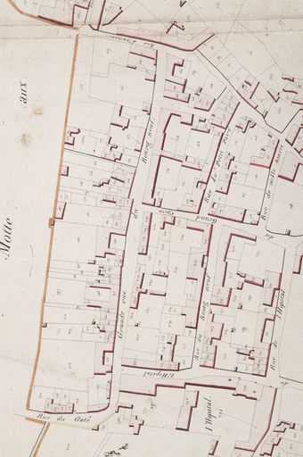 Analyse de l'évolution de la ville de Luçon