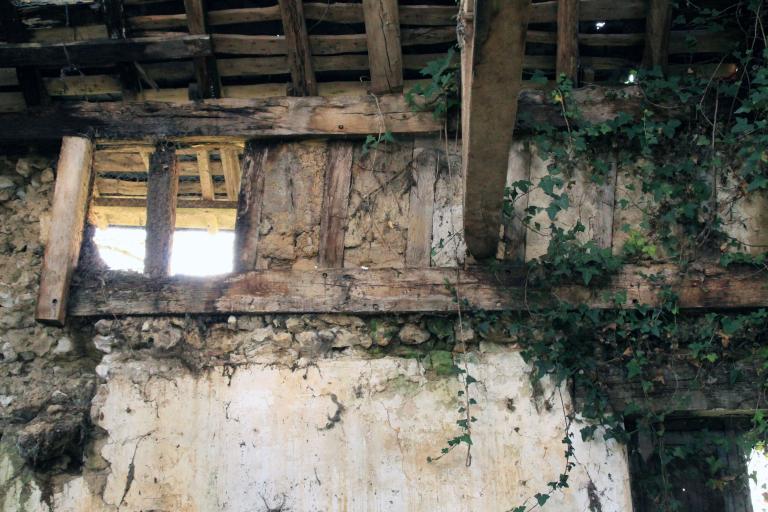 Ferme et logis (vestiges), la Basse-cour de Follet