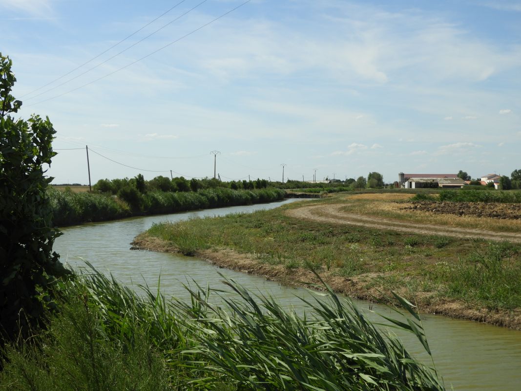 Digue du Vieux marais desséché de Champagné