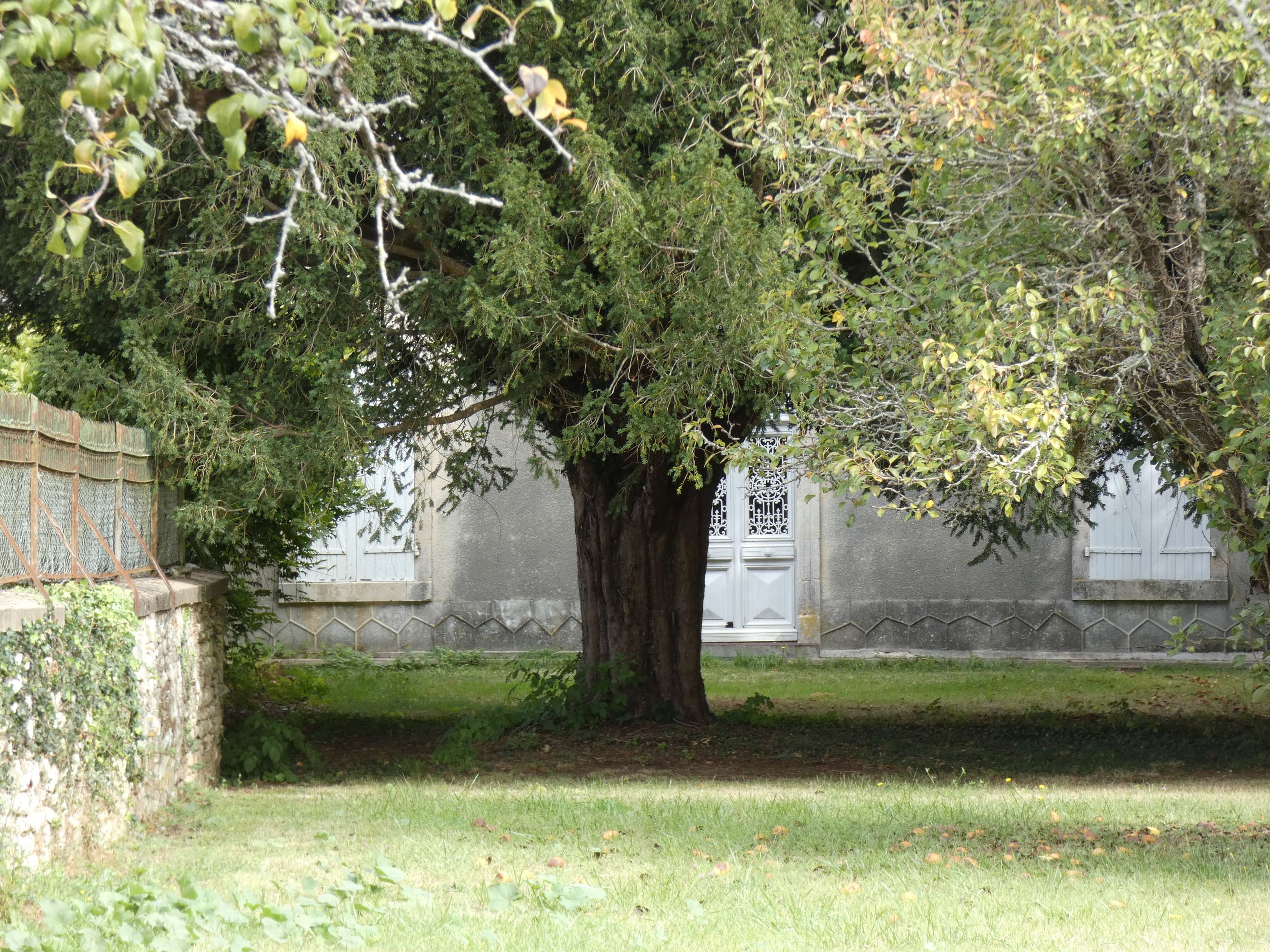 Ferme dite la Barounie, actuellement maison ; 4 rue de la Petite Ville