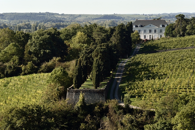 Maison de maître puis château de la Roche-aux-Moines