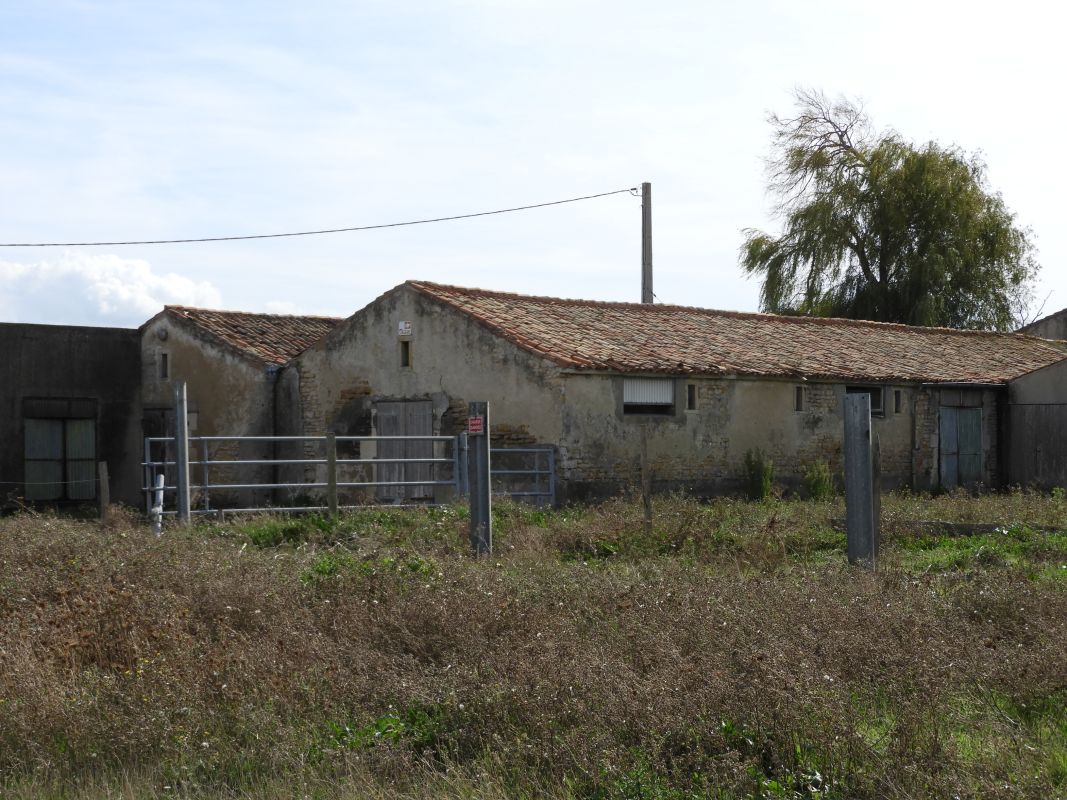 Maisons, fermes : l'habitat à Puyravault