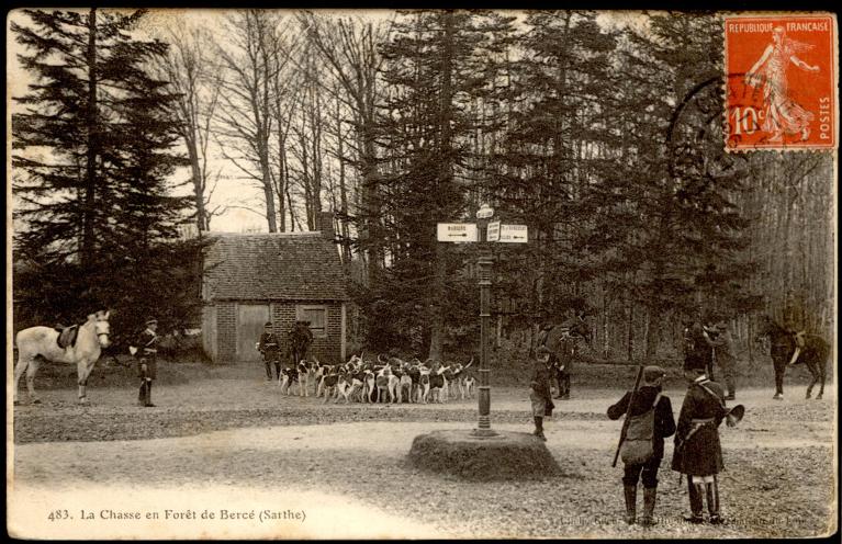 La Forêt de Bercé, en Sarthe