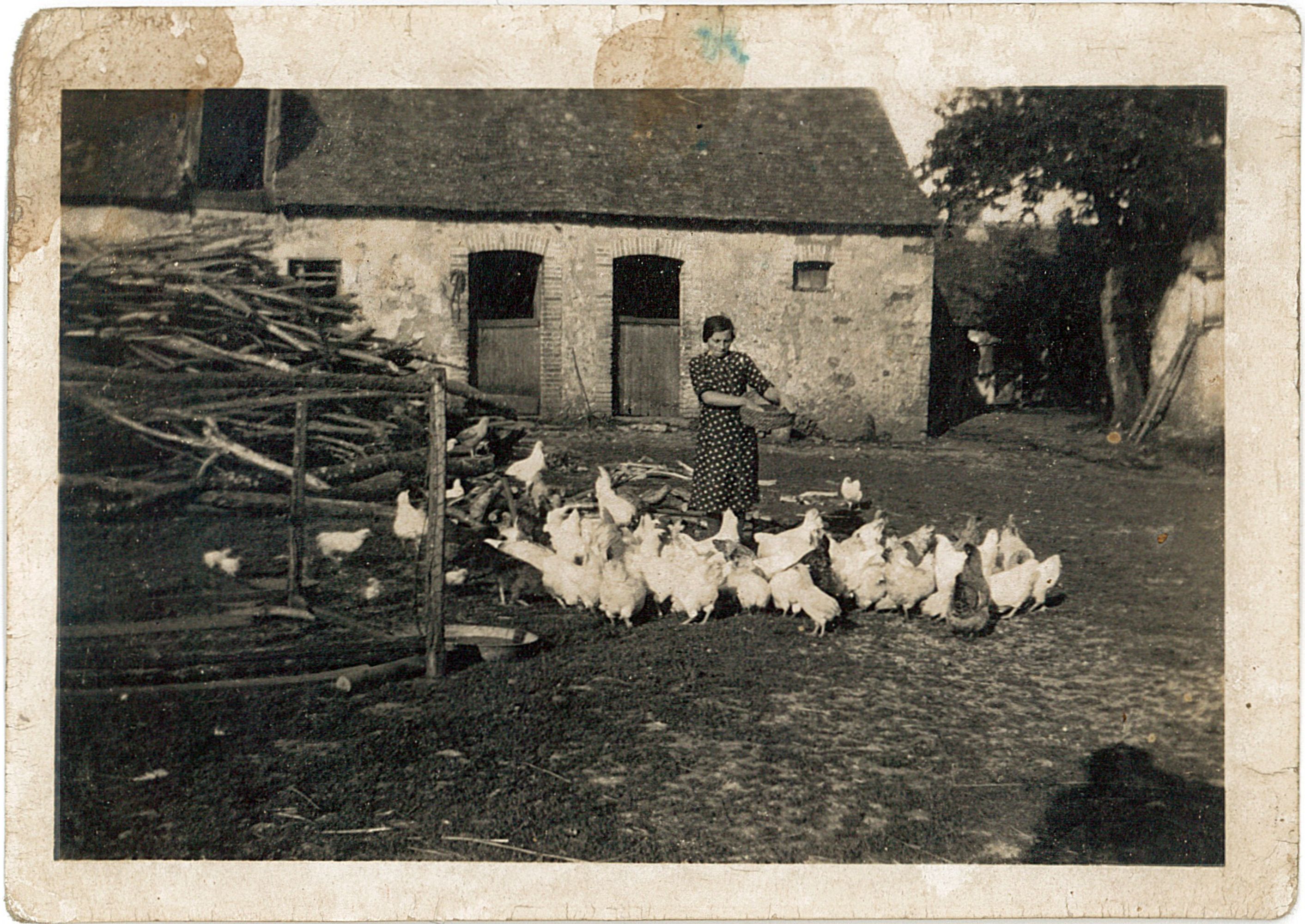 Rosay, manoir (détruit) puis ferme, actuellement maison.