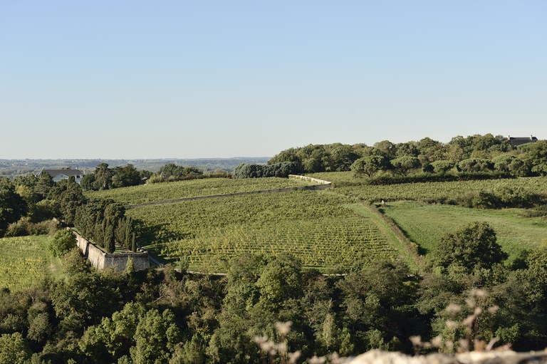 Maison de maître puis château de la Roche-aux-Moines