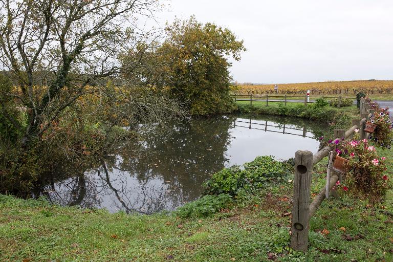 Mare commune aux habitants du Landreau à Vallet (ZM01-69, cadastre 2018)