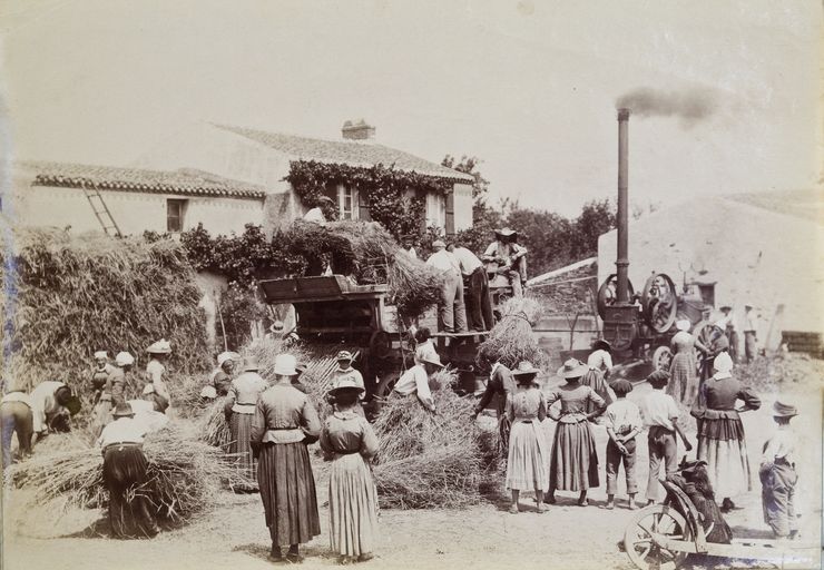 Ecart dit de la Bourchinière