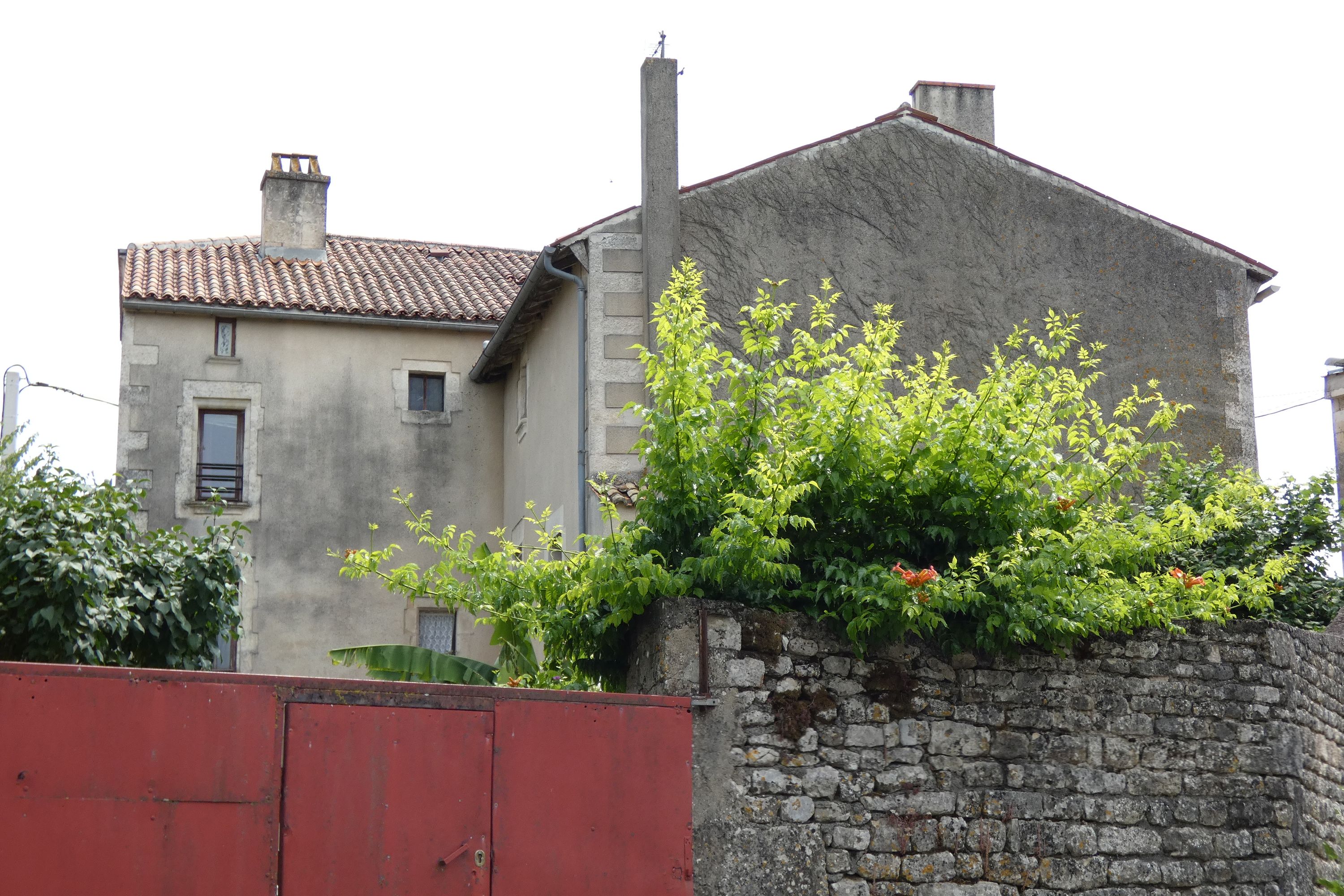 Maison dite Puits Fontaine, 30 rue du Temple