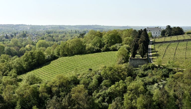 Maison de maître puis château de la Roche-aux-Moines