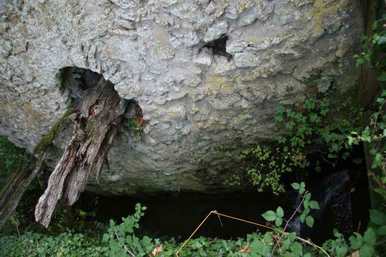 Moulin à eau dit Moulin Pichon de Laurière