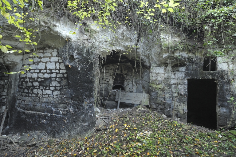 Ferme de Champfleury (ruinée), Montsoreau