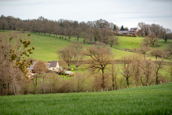 Maison, bergerie dites le Haut-du-Tertre, le Tertre-de-Jarrêté