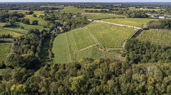 Manoir, puis ferme de la Coulée-de-Serrant