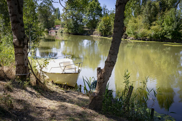 L'ÎLe-d'Elle : présentation de la commune