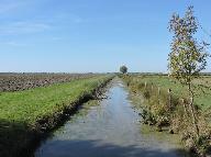 Canal dans les marais desséchés au nord du bourg.