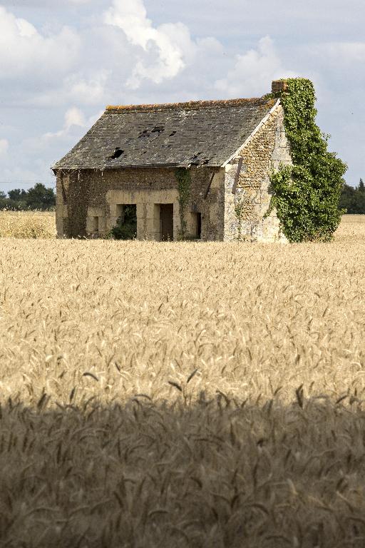 Patrimoine de la vigne et du vin, Val du Loir (Sarthe)