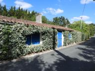 Maison ou hutte, 2 rue du Quaireau