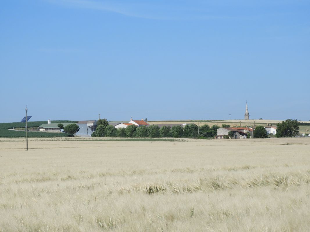 L'ÎLe-d'Elle : présentation de la commune