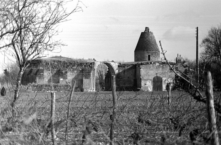 Moulins des Moulins à vent, actuellement maison, 10 chemin des Moulins, Fontevraud-l'Abbaye