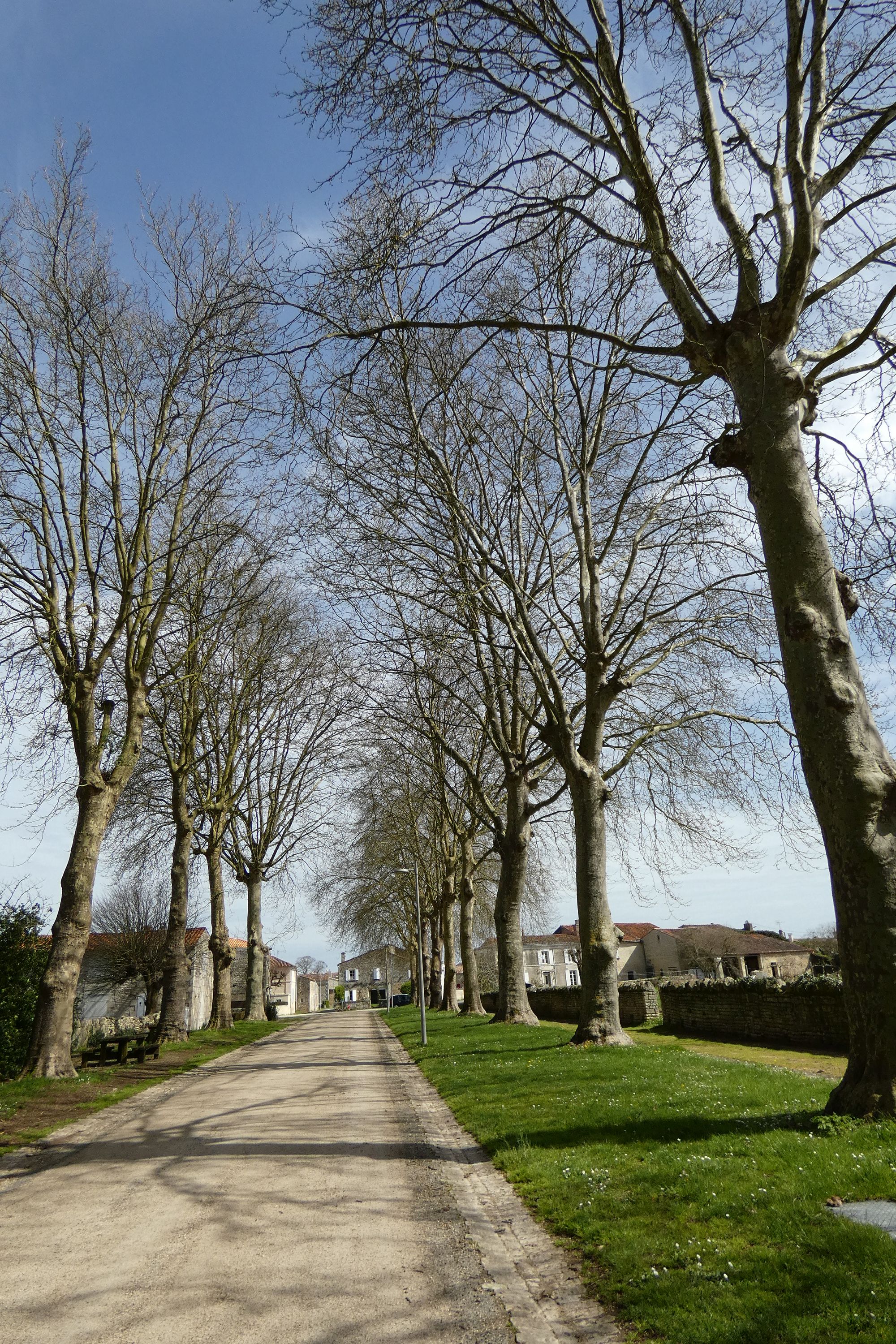 Port d'Aziré