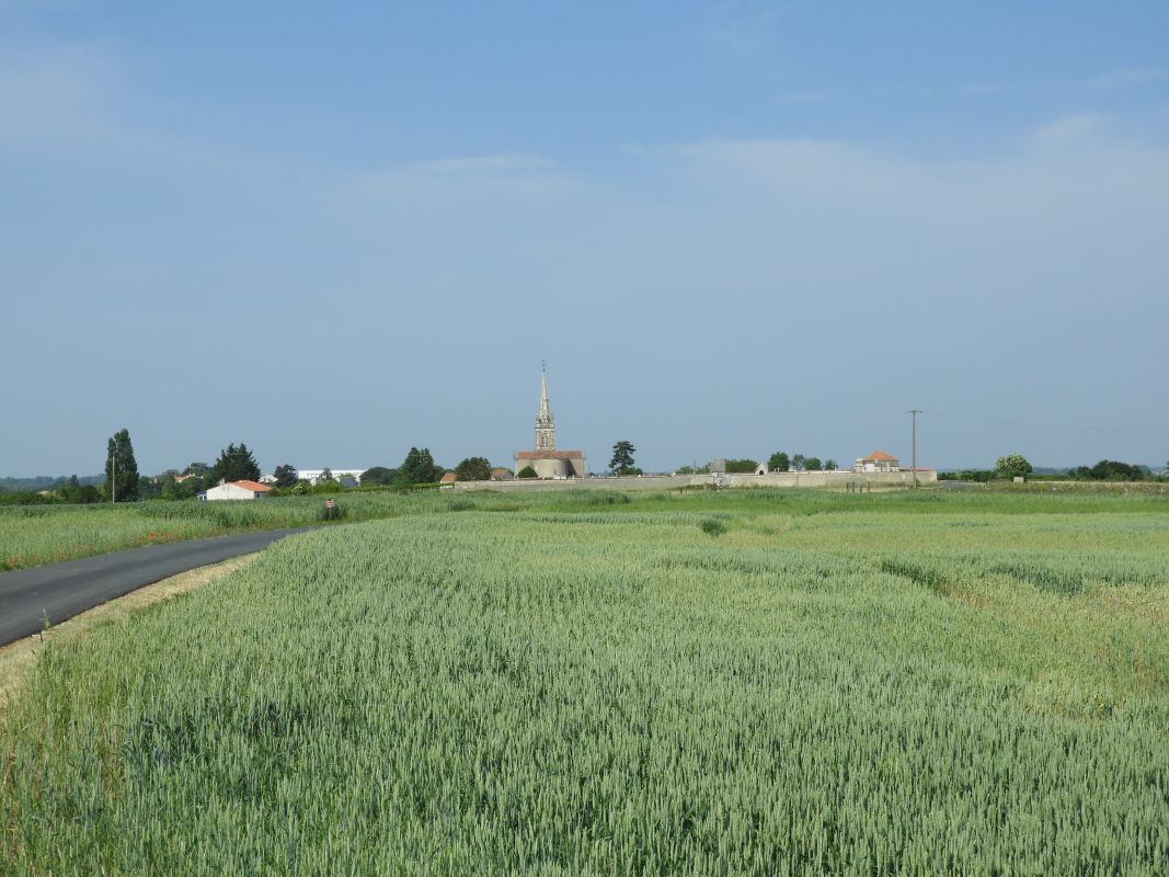 L'ÎLe-d'Elle : présentation de la commune