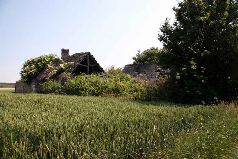 Dissé-sous-le-Lude : présentation de la commune