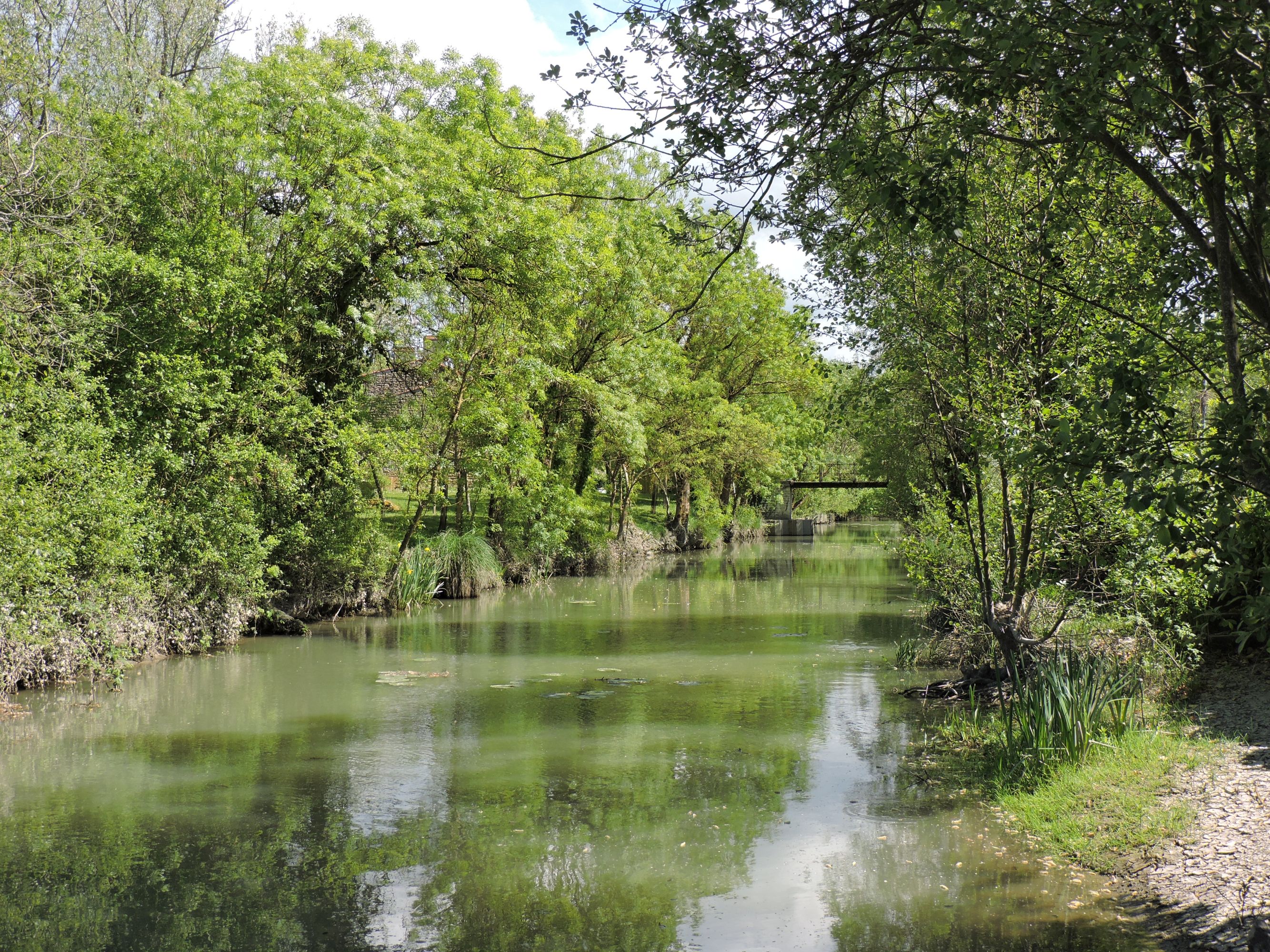 Canal ou rigole de Bourneau