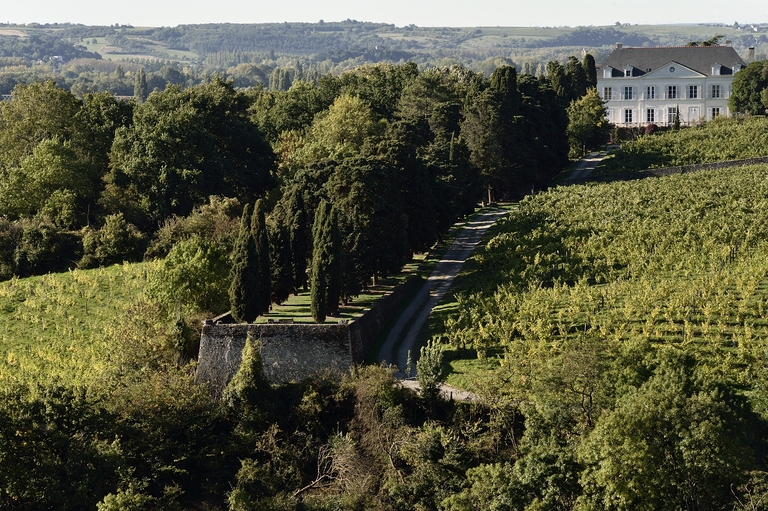 Maison de maître puis château de la Roche-aux-Moines