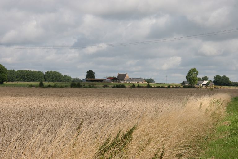 Savigné-sous-le-Lude : présentation de la commune