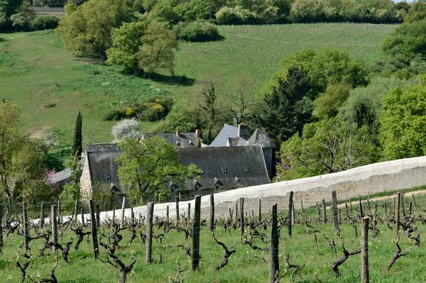 Manoir, puis ferme de la Coulée-de-Serrant