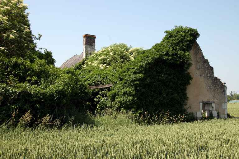 Dissé-sous-le-Lude : présentation de la commune