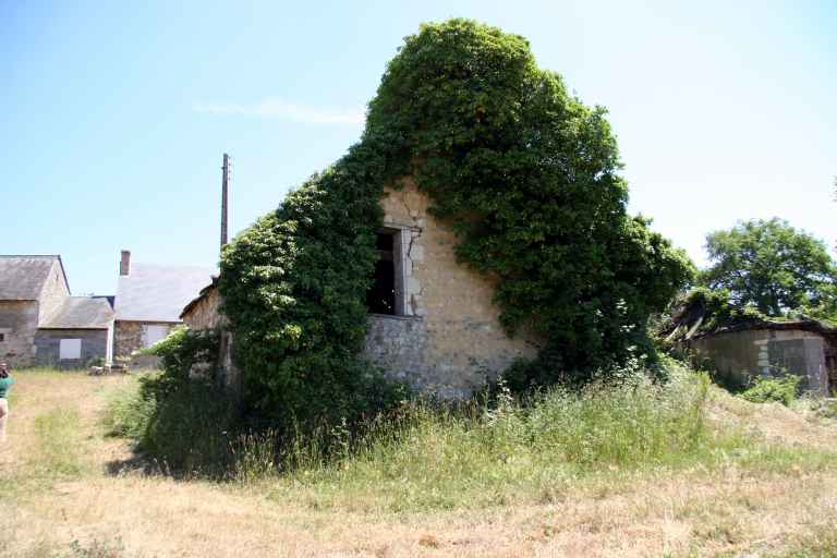 Présentation des objets mobiliers de l'église paroissiale Saint-Loup de la commune de Savigné-sous-le-Lude