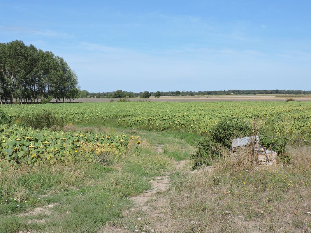 Fontaine du Pissot, puits ; le Bas des Vignes