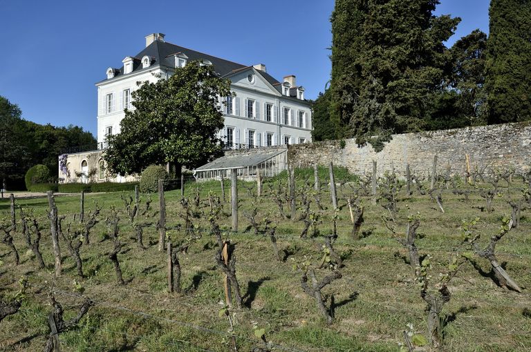 Maison de maître puis château de la Roche-aux-Moines