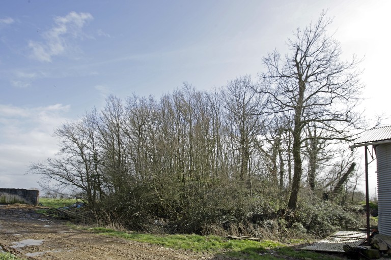 Manoir (?), puis ferme - les Trais, Saulges