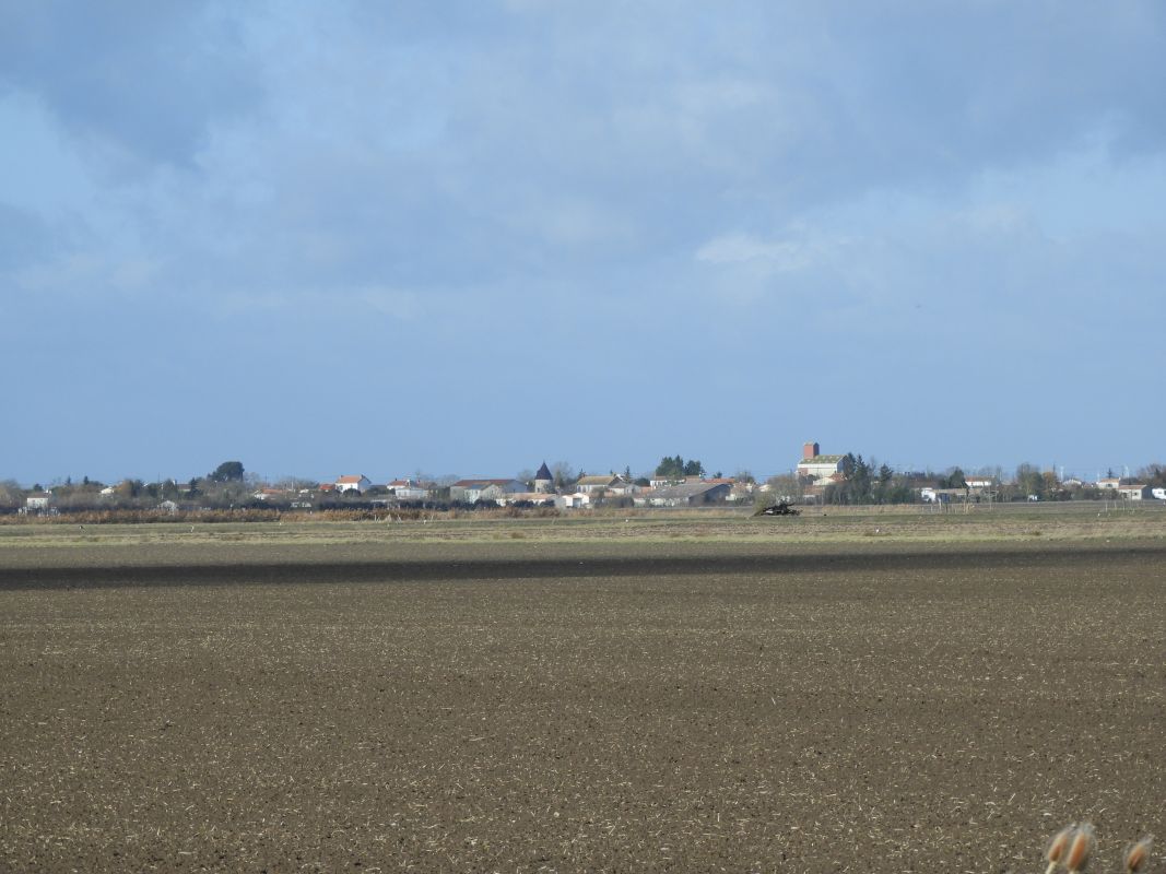 Maisons, fermes : l'habitat à Puyravault