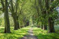 Digue, puis chemin dit "Chaussée de Robert"