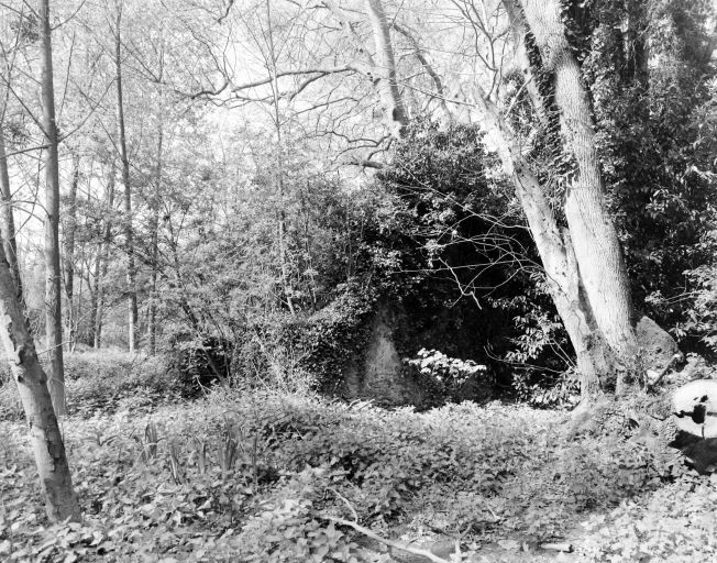 Moulin à foulon, puis remise à bateau