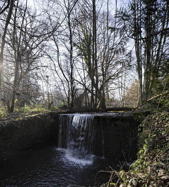 Hameau, château et motte castrale de la Grivellière