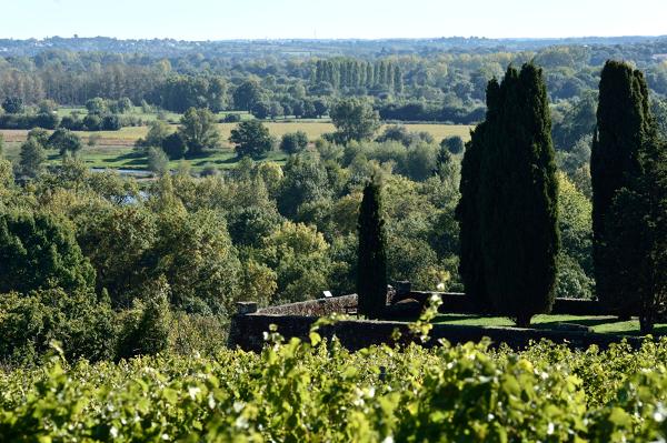 Jardin du château de la Roche-aux-Moines