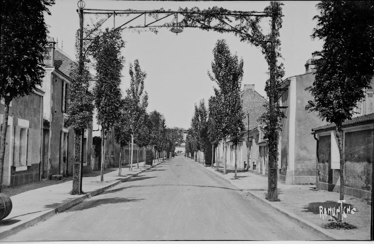 Analyse de l'évolution de la ville de Luçon