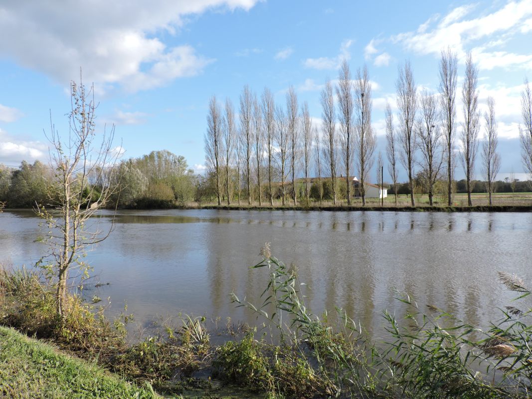 Canal du Sablon