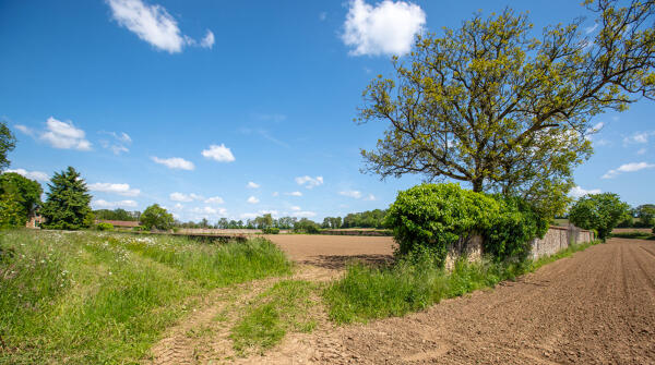 Jardin potager et maison de jardinier