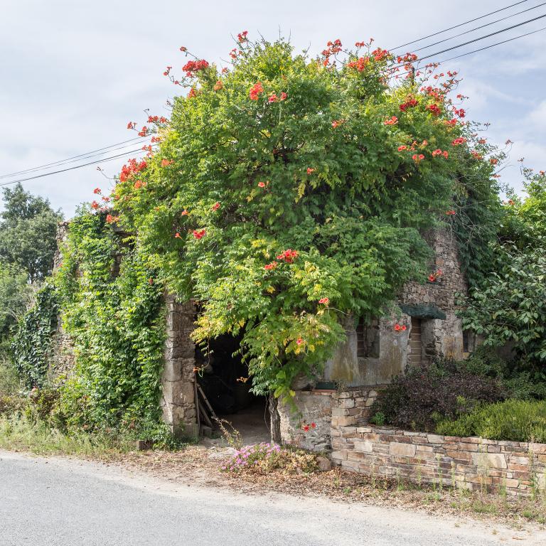 Grange. La Pichaudière, Saint-Hilaire-de-Clisson, cadastre 2018, 000 ZR 01-138.