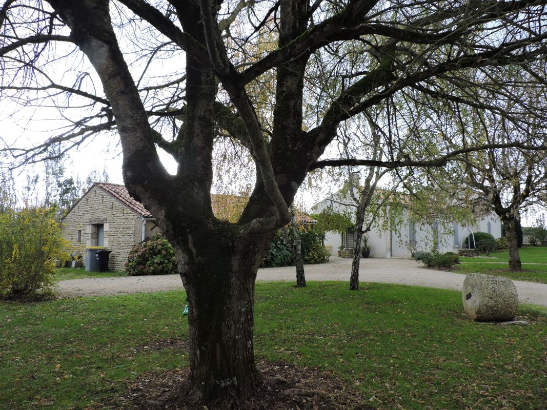 Ferme, actuellement maison ; 22, la Bijettrie